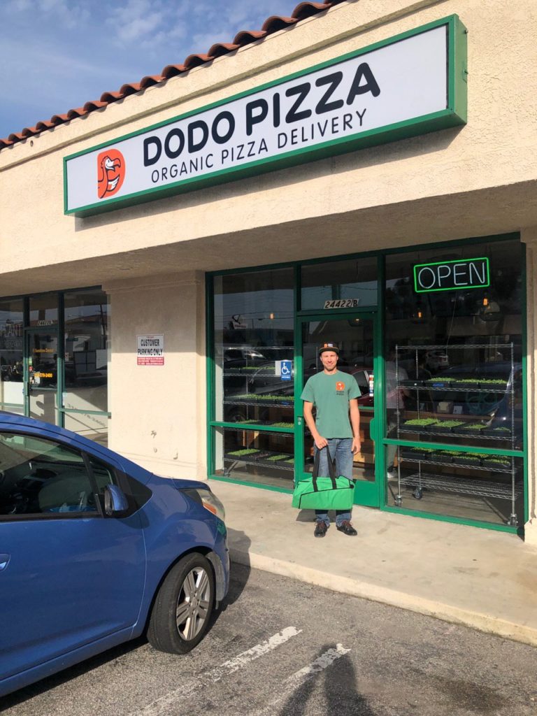 dodo pizza pizzeria company